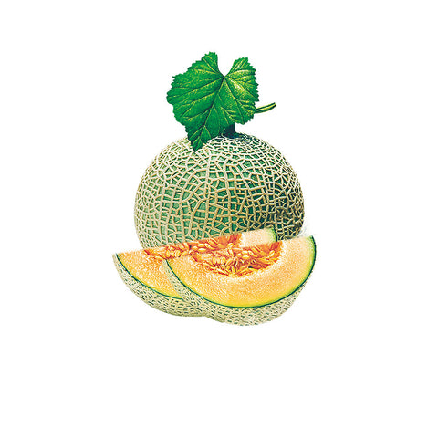 Zucchini