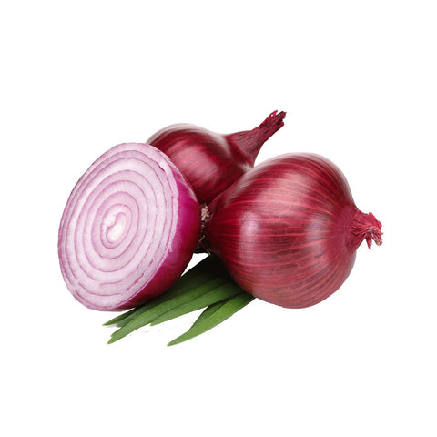 Onion purple